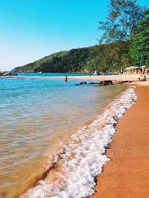 Buzios spiaggia Praia da tartaruga foto ,  Brasile